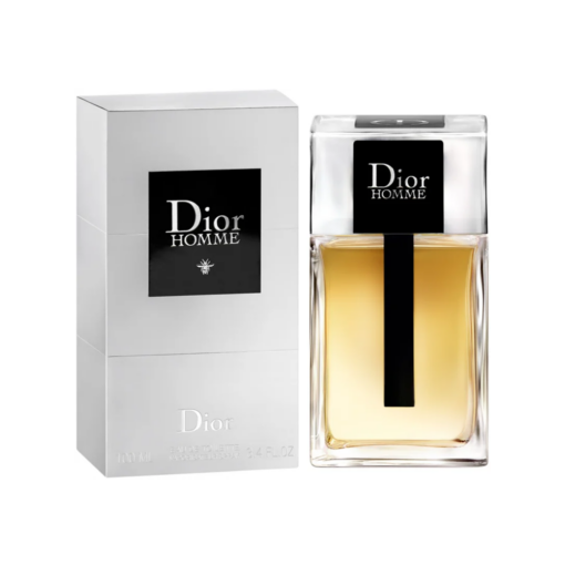 Dior Homme 100 ML EDT